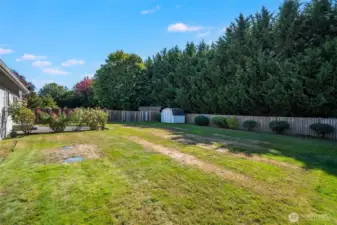 A storage shed is found in the backyard for your gardening tools.