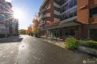 Morse Square is steps away from Bellingham Farmer's Market and sooo many restaurants & shopping