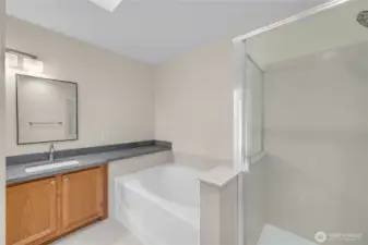 Another view of the primary bathroom with a skylight for natural illumination.