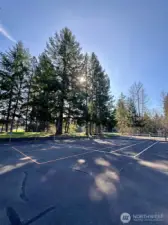 Multiple Tennis/Pickle Ball Courts for use