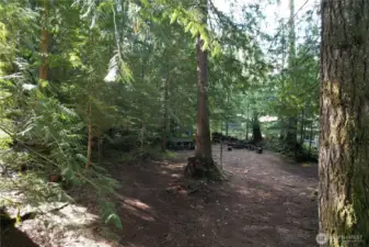 Lots of trees for privacy.