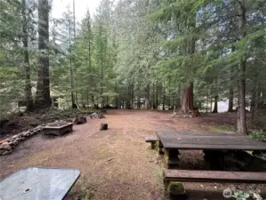 Picnic table and firepit stays.