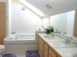 THIS GUEST BATH HAS VAULTED CEILINGS, TILE FLOORING AND SKY LIGHT!