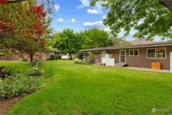 large shared back yard