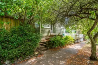 Tree lined street in Fremont neighborhood.