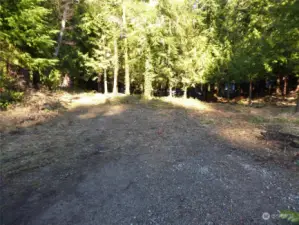 cleared driveway area