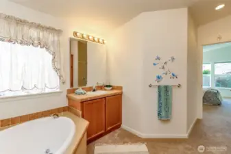 Separate vanity off primary bedroom.