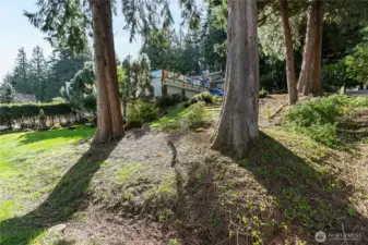 Great balance of trees and open space for sun exposure