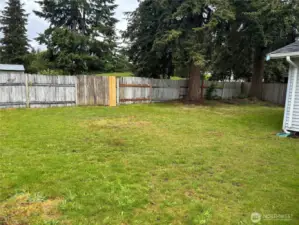 Fenced Back yard