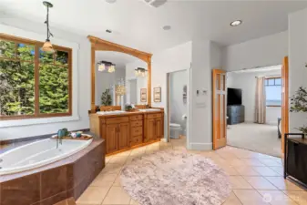 Primary bathroom
