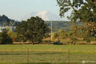Clear Day view of Mt. Rainier