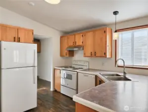Bright and functional kitchen featuring a walk-in pantry, ample cabinetry, and all appliances included.