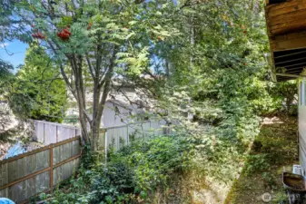 6 foot Cedar fence for privacy and natural foilage