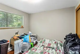 One of the spacious downstairs bedrooms.