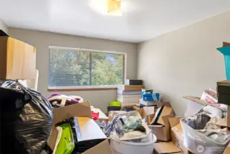 Downstairs bedroom/office