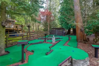 Your own custom 18-hole putt-putt golf course, get your fun and exercise right here!