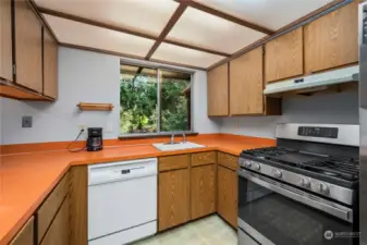 The kitchen is light and bright and overlooks the gorgeous back yard.