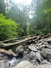 Rocky Brook Creek coming off the falls, easy walk from the property