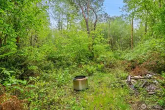 Fire pit area