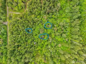 Yurts are circled