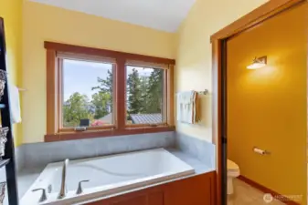 Bathtub and private toilet area.