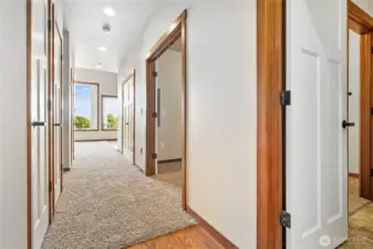 New Carpet