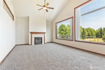 New Carpet