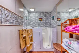 Lower level- Jetted walk-in bathtub