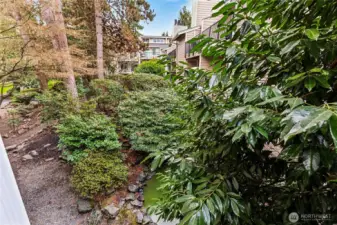 View of grounds from balcony
