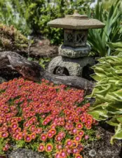 Flowers that will come out this spring