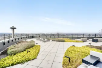 Common area feature - breathtaking rooftop deck.  Puget Sound is on the left.