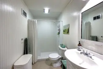 Bathroom in guest suite