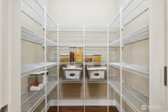 Spacious pantry.