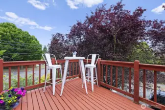 Big deck.  Add a couch or lounger for your relax space!