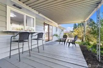 Large covered back patio