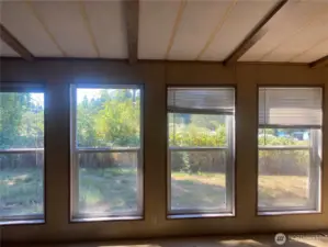 Family room windows