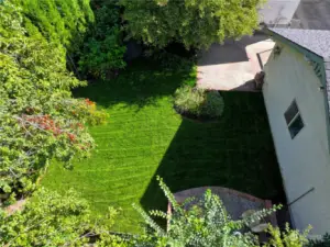 View of back yard