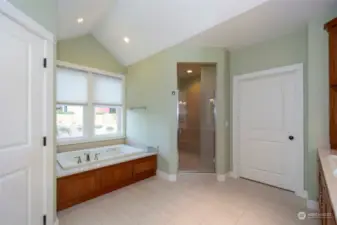 Primary Bathroom large bathtub