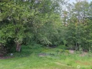 Just past the shop looking towards the forest. Clear the land to have a pasture area for horses or livestock, or keep it forested for privacy. Endless possibilities!