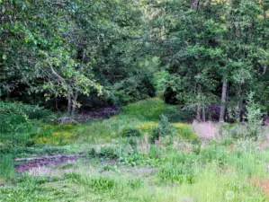 View from the back porch of the home.