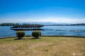 View of Mt.Rainier from Park