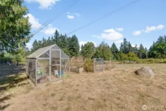 greenhouse