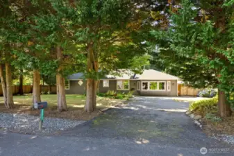 Looking in from the tree-lined street, there's truly no place like home.