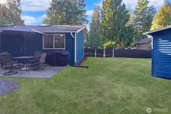 Back of the home with lush lawn, fully fenced backyard, and large storage shed—private outdoor living at this Bonney Lake rambler.