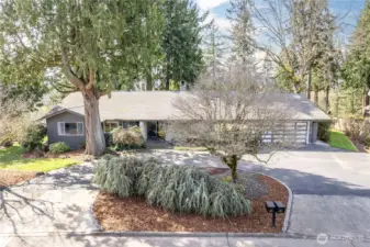 Wrap around driveway