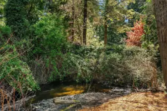 The large, 1.5 acre arboretum-like permanently preserved open space provides direct access to the north fork of Thornton Creek.