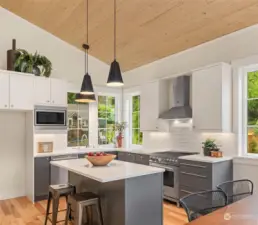 The large, pine paneled vaulted ceiling kitchen is generous and ready for Thanksgiving dinner! Light filled, south facing spaces are wrapped with custom painted cabinetry and professional level appliances.