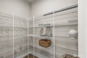 Plent of storage in this pantry!