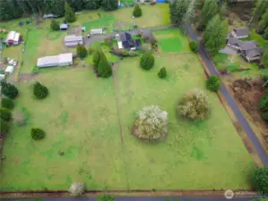 whole view layout