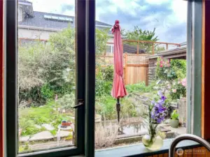 Outside kitchen window